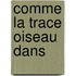 Comme La Trace Oiseau Dans
