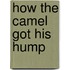 How the Camel Got His Hump