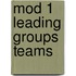 Mod 1 Leading Groups Teams