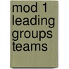 Mod 1 Leading Groups Teams by O. Rourke