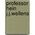 Professor Hein J.J.Wellens