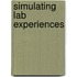 Simulating Lab Experiences