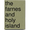 The Farnes and Holy Island door Ron Young