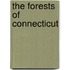 The Forests of Connecticut