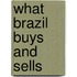 What Brazil Buys and Sells