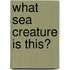 What Sea Creature is This?