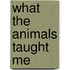 What The Animals Taught Me
