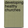 Developing Healthy Churches door Robert Warren