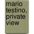 Mario Testino, Private View