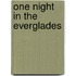 One Night in the Everglades