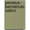 Perseus - Benvenuto Cellini by Christian W. Bernhard