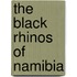 The Black Rhinos of Namibia