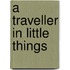 A Traveller in Little Things