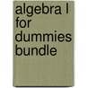 Algebra L For Dummies Bundle door Consumer Dummies