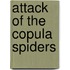 Attack Of The Copula Spiders