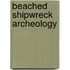 Beached Shipwreck Archeology