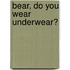 Bear, Do You Wear Underwear?
