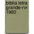 Biblia Letra Grande-Rvr 1960