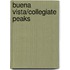 Buena Vista/Collegiate Peaks
