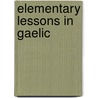 Elementary Lessons in Gaelic door Macbean Lachlan