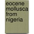 Eocene Mollusca from Nigeria