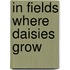 In Fields Where Daisies Grow