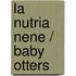 La nutria Nene / Baby Otters