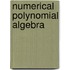 Numerical Polynomial Algebra