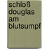 Schloß Douglas am Blutsumpf