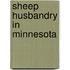Sheep Husbandry in Minnesota