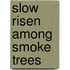 Slow Risen Among Smoke Trees