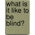 What Is It Like to Be Blind?