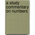 A Study Commentary On Numbers
