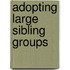 Adopting Large Sibling Groups