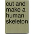 Cut and Make a Human Skeleton