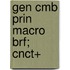 Gen Cmb Prin Macro Brf; Cnct+