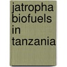 Jatropha Biofuels in Tanzania door Endale Tsegaye Mohammed