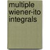 Multiple Wiener-Ito Integrals