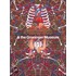 Studio Job & Groninger Museum
