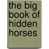 The Big Book Of Hidden Horses