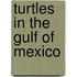 Turtles in the Gulf of Mexico