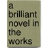 A Brilliant Novel in the Works