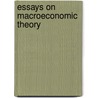 Essays on Macroeconomic Theory door Morales Piñero JesúS. Enrique