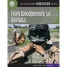 From Woodpeckers To... Helmets door Josh Gregory
