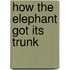 How the Elephant Got Its Trunk