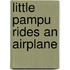 Little Pampu Rides an Airplane