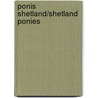 Ponis Shetland/Shetland Ponies door Erin Monahan