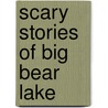 Scary Stories of Big Bear Lake door Jodi Polos