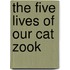 The Five Lives Of Our Cat Zook