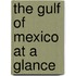 The Gulf of Mexico at a Glance